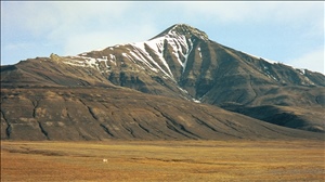 070199 cd europeimg024.jpg